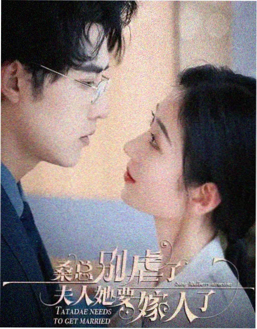 女子监狱在线剧集高墙之下